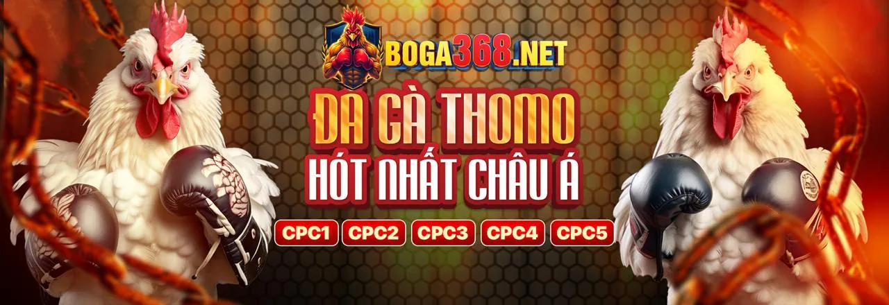 Câu hỏi thường gặp 69vm chính thức